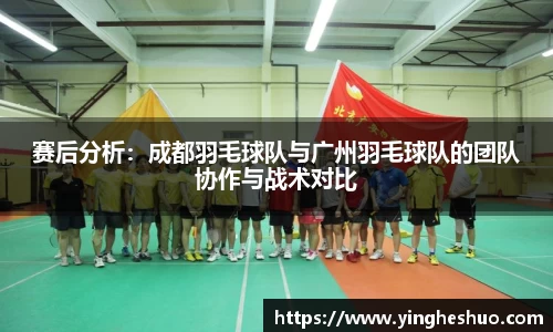 赛后分析：成都羽毛球队与广州羽毛球队的团队协作与战术对比